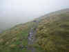 Black Dike area of Great Whernside