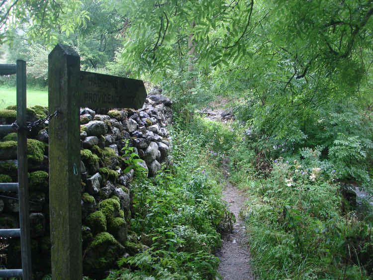 The start of Dowber Gill Beck