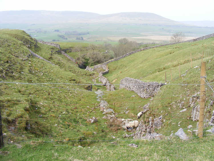 Ravine on the Ribble Way