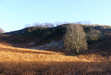 The summit of Brackenthwaite Hows