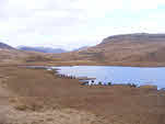 Easedale Tarn from Blea Rigg 