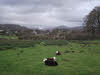 Eskdale Green from Hollowstones 