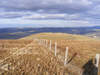 View north from Fellbarrow