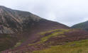 The top of Lad Hows, Grasmoor 