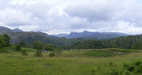 Langdale Pikes from Tarn Hows