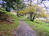 Path between Loweswater and Hudson Place