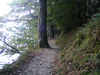 Northern shore of Buttermere 