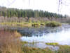 Parkgate Tarn