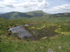 Tarn on the summit ridge, Yewbarrow