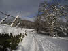 Bridge Lane Troutbeck