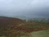 Hawkshead from Latterbarrow