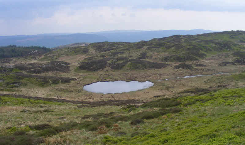 Arnsbarrow Tarn from Top o' Selside 