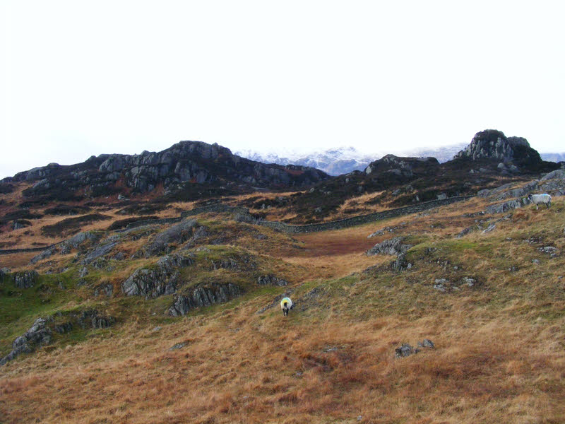 Summit of Brund Fell 