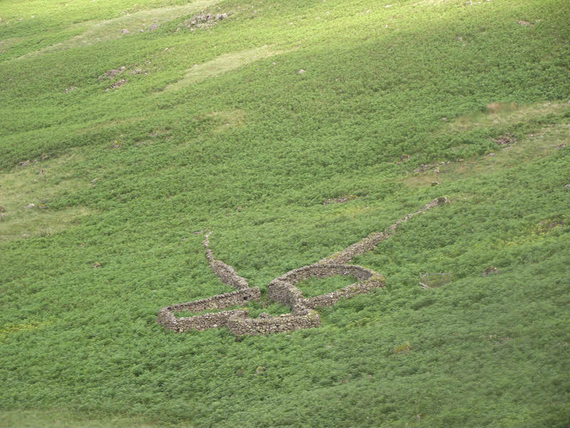 Sheepfold on Buckbarrow