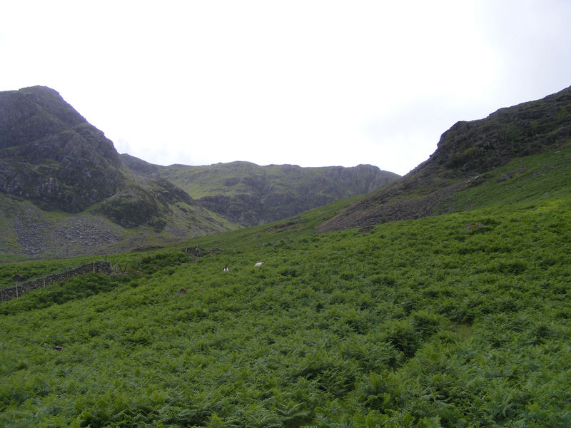 Entrance to Burtness Comb