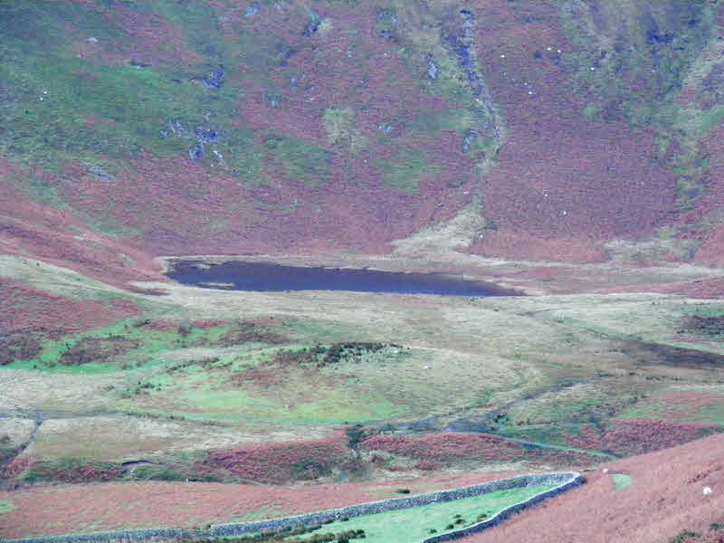 High Nook Tarn from Carling Knott 