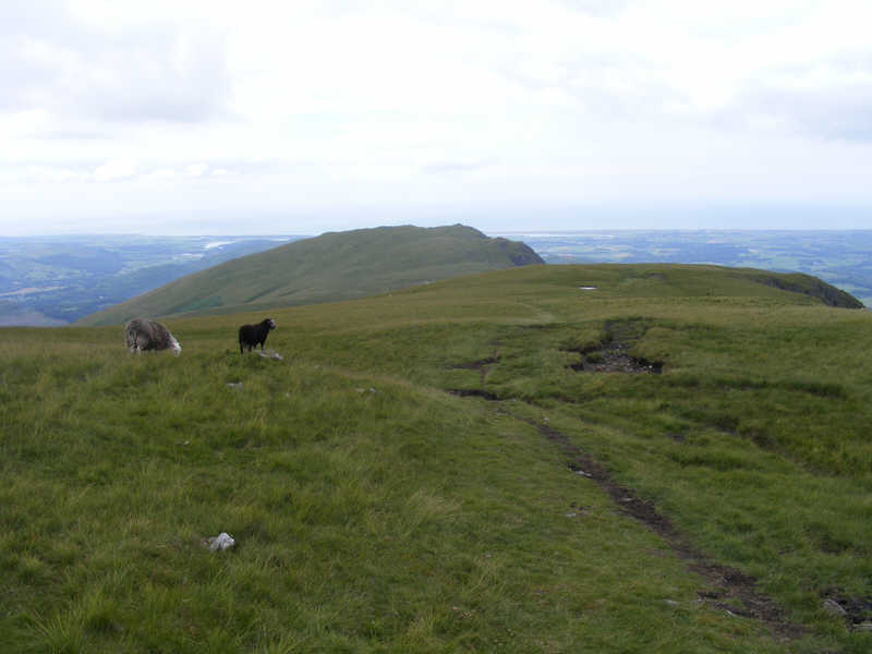 Illgill Head to Whin Rigg