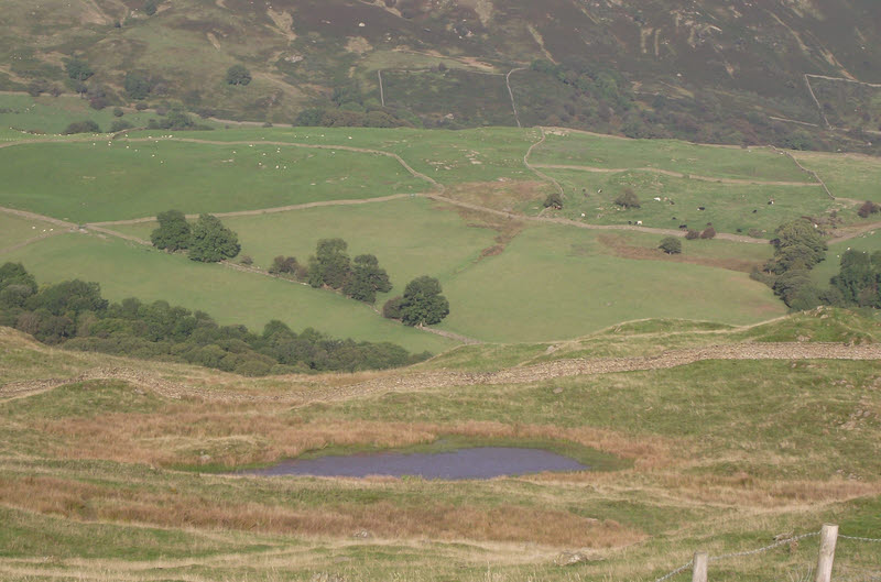 Kemp Tarn from Reston Scar 