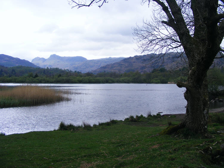 Langdale Pikes seen over Elter Water