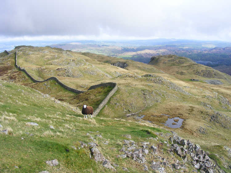 View east along Lingmoor Fell