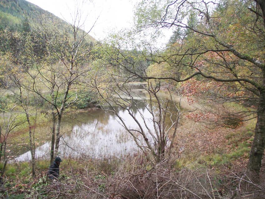 Moss Dub, Ennerdale 