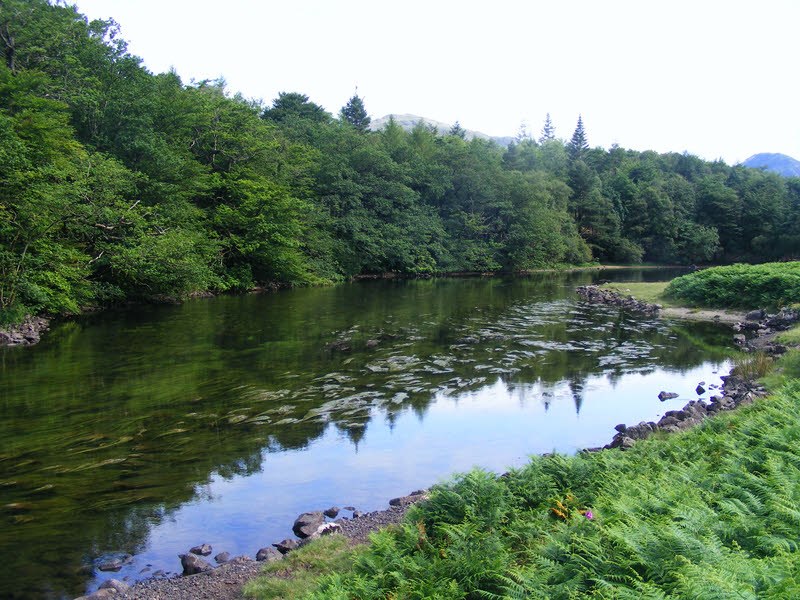 River Irt at Low Wood 