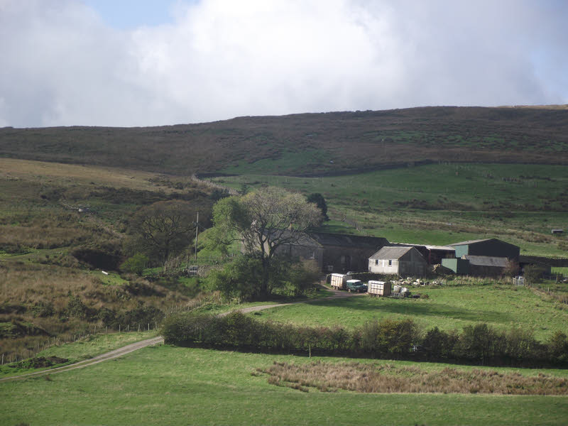 Scalderskew Farm 