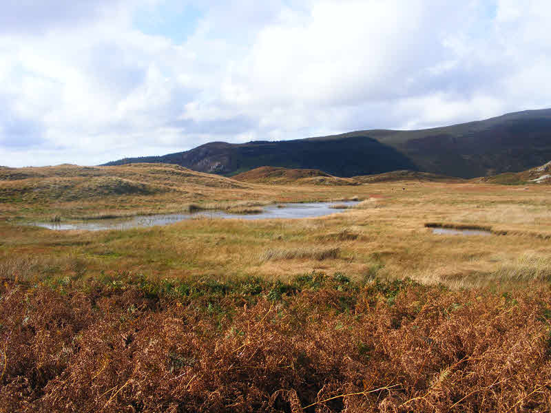 Siney Tarn 