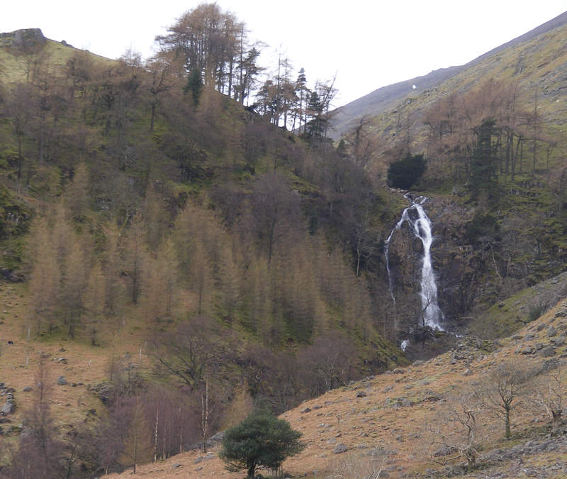 Taylorgill Force