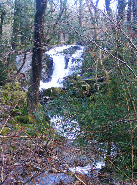 Tom Gill Falls, Tarn Hows 