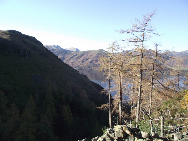 View from Cat Gill  