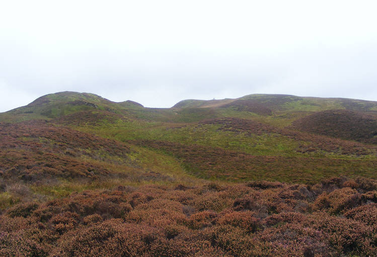 Summit ridge on Whinlatter Top