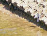 Link to picture of Burnhope Reservoir