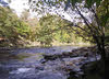 River Tees near Barnard Castle