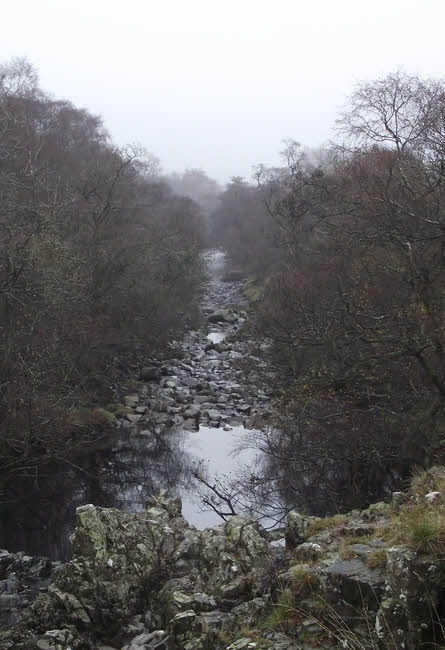 Straight Cut in River Tees 