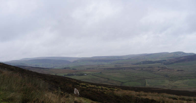 The Black Brook Valley from the Roaches 