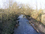 River Hamps at Waterhouses