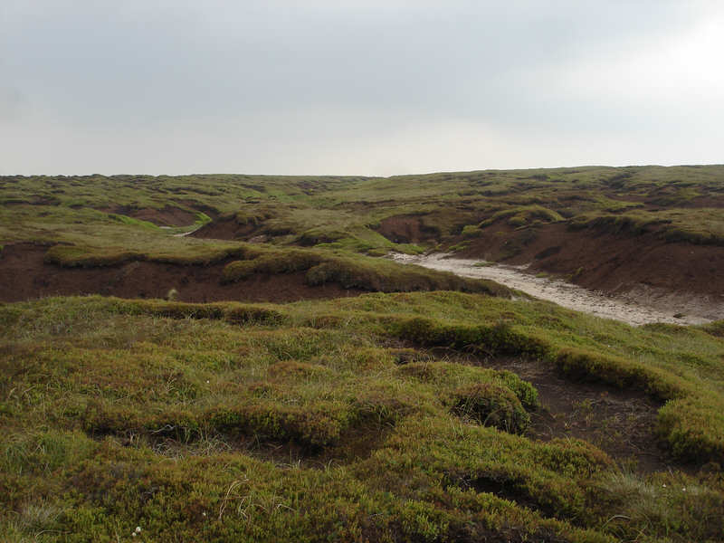 The top of Kinder Scout