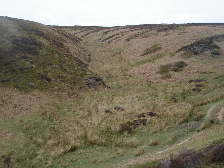 Above Light Spout