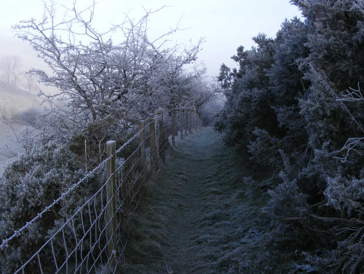 The path through Cwmdale